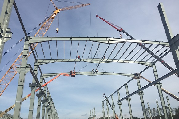 碧桂园森林城市